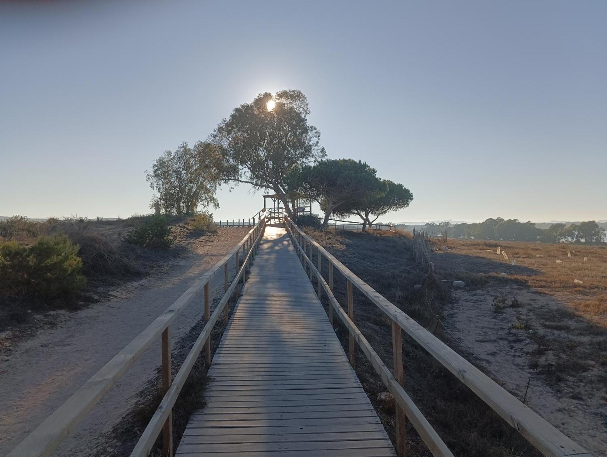 Bonito Apartamento 150 M De La Playa La Mata Ла-Мата Экстерьер фото