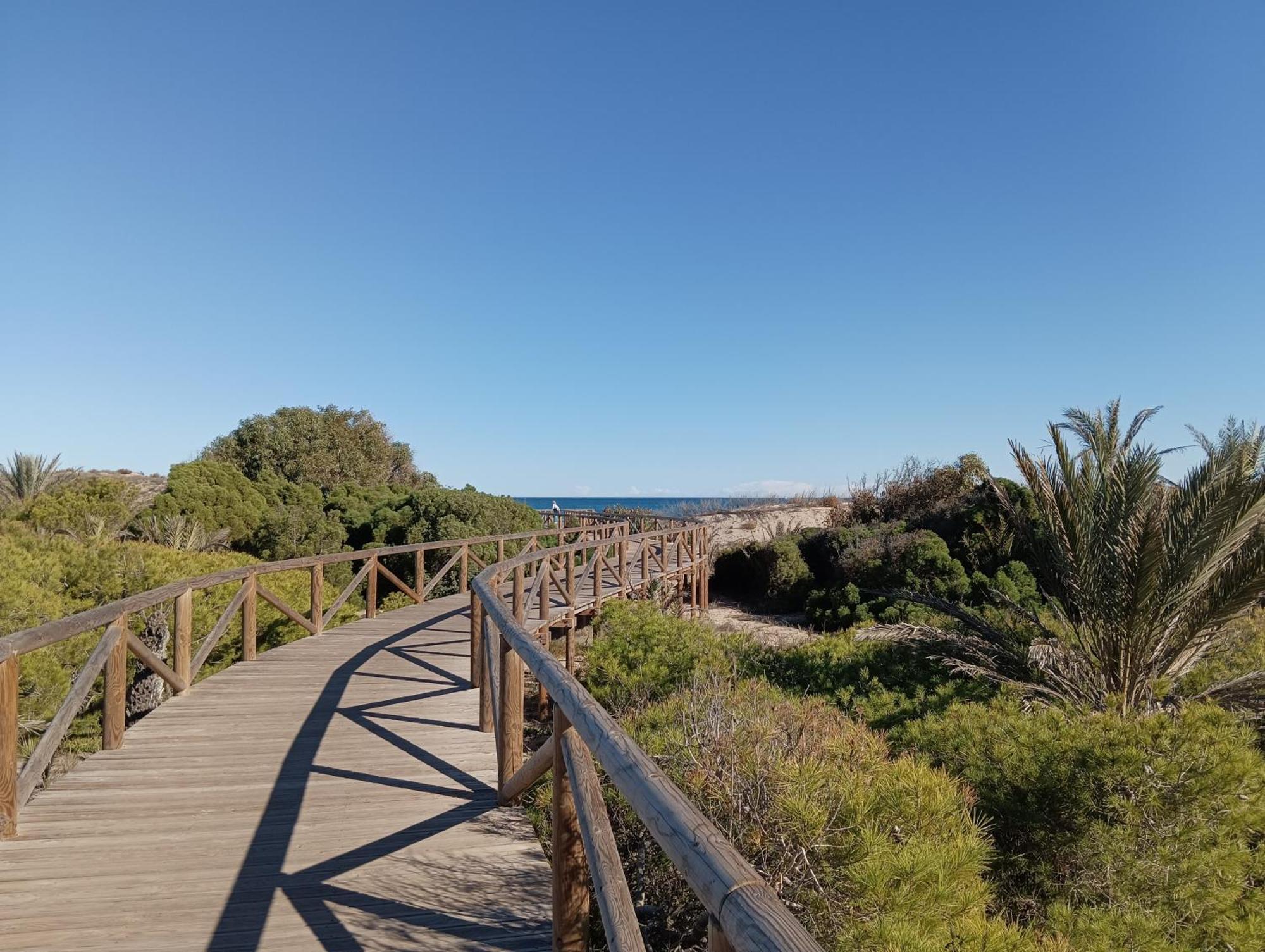 Bonito Apartamento 150 M De La Playa La Mata Ла-Мата Экстерьер фото
