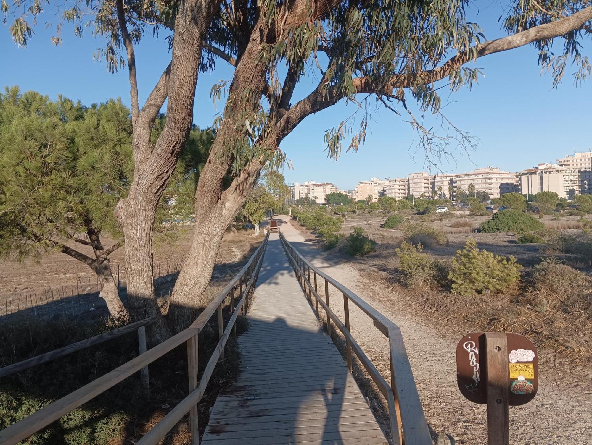 Bonito Apartamento 150 M De La Playa La Mata Ла-Мата Экстерьер фото