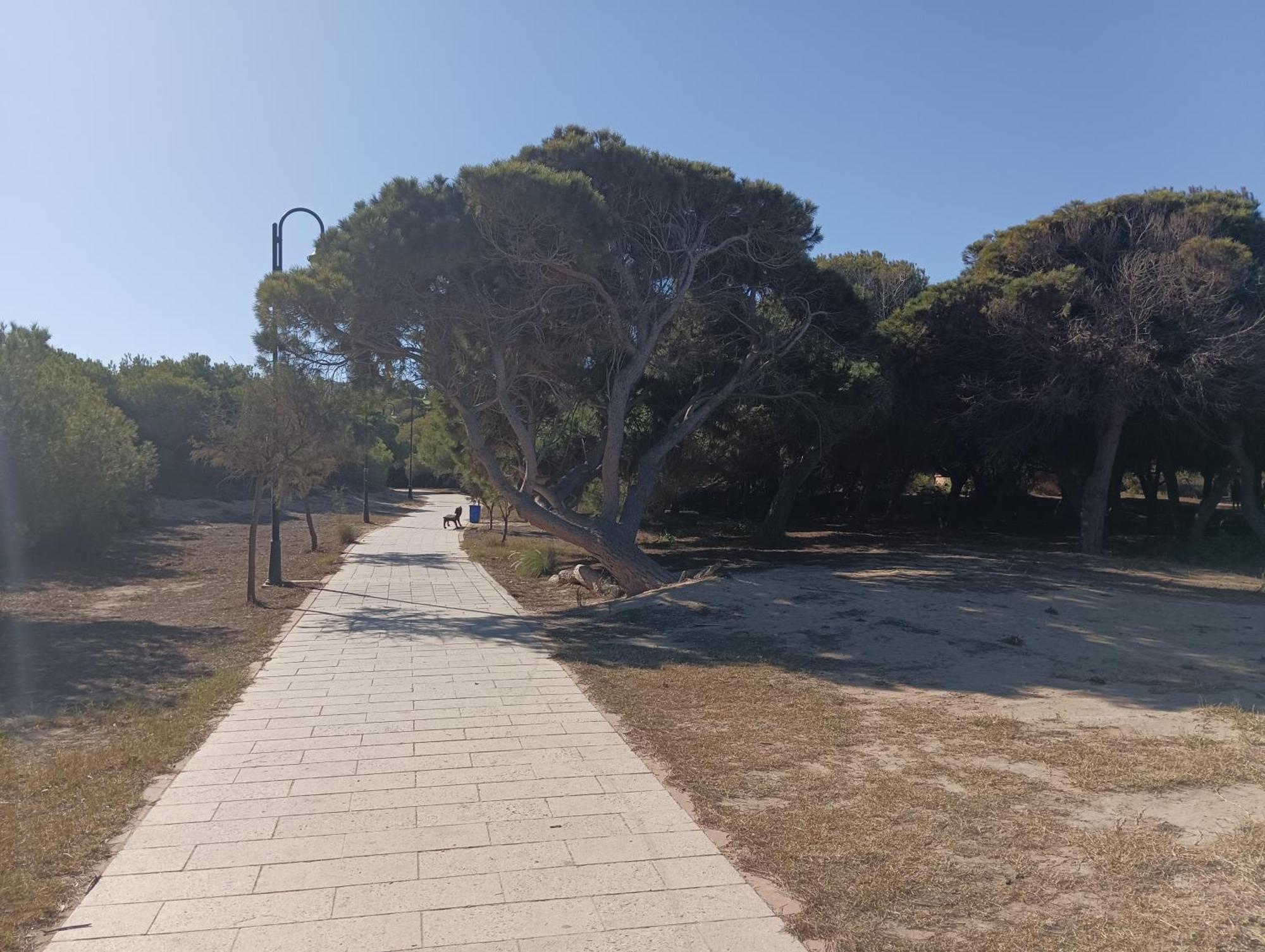 Bonito Apartamento 150 M De La Playa La Mata Ла-Мата Экстерьер фото