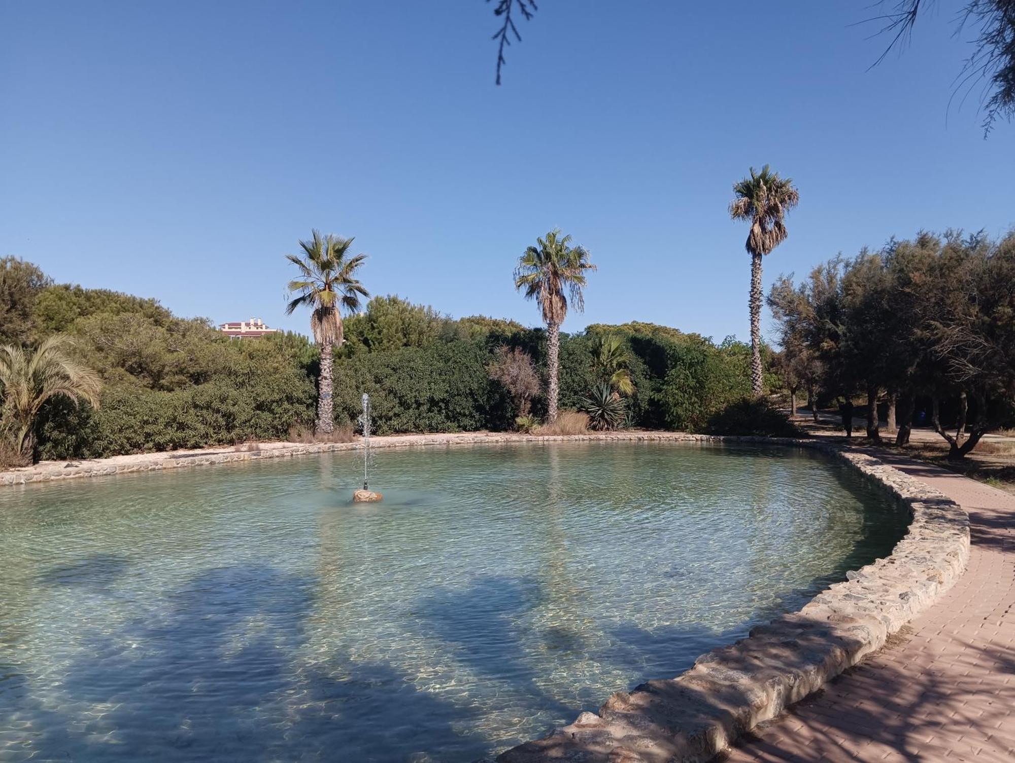 Bonito Apartamento 150 M De La Playa La Mata Ла-Мата Экстерьер фото
