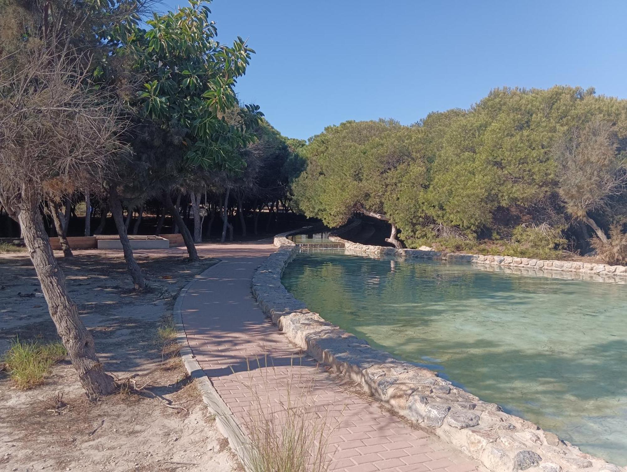 Bonito Apartamento 150 M De La Playa La Mata Ла-Мата Экстерьер фото